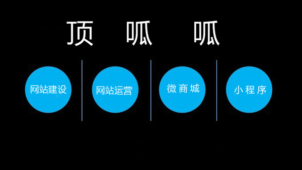 成都网站运营