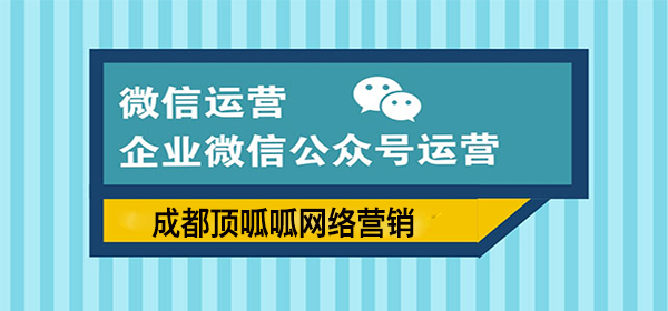顶呱呱微信运营